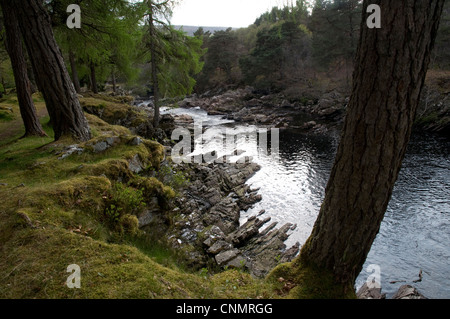 River Cassley, Sutherland, Scotland, UK Banque D'Images