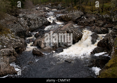 River Cassley, Sutherland, Scotland, UK Banque D'Images