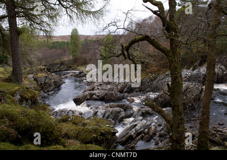 River Cassley, Sutherland, Scotland, UK Banque D'Images