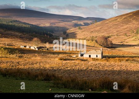 Offres et demandes de Glenlivet, Ecosse, Royaume-Uni ; Cairngorms Banque D'Images