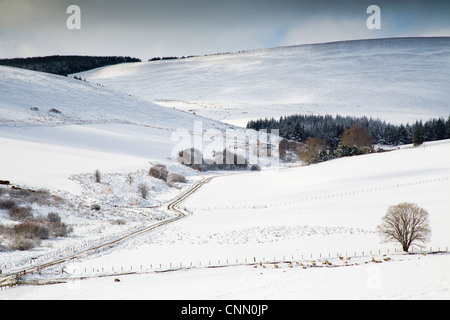 Offres et demandes de Glenlivet, Ecosse, Royaume-Uni ; Cairngorms Banque D'Images