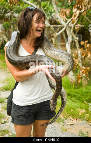 Vue verticale d'un rire tout en posant avec un boa constrictor serpent. Banque D'Images