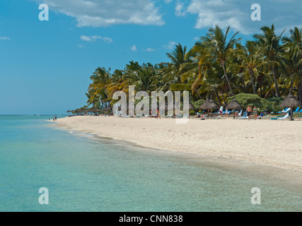 La plage en face de l'hôtel La pirogue, à Wolmar, juste au sud de Flic en Flac, sur la côte ouest de l'Ile Maurice Banque D'Images