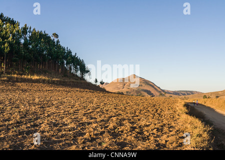 Paysage typique des Hautes Terres malgaches Madagascar Ampefy, près de Banque D'Images