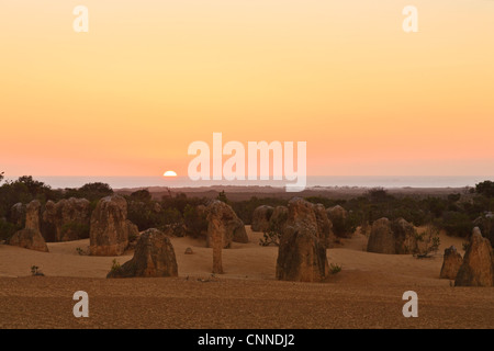 Les Pinnacles, une région de formations calcaires érodés dans le Parc National de Nambung, au nord de Perth en Australie occidentale. Banque D'Images