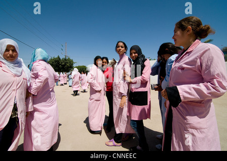 La Tunisie, Sidi Bouzid : 1 000 femmes travaillent dans l'usine de production allemande Steiff jouets pour animaux pour l'Allemagne et d'autres pays Banque D'Images