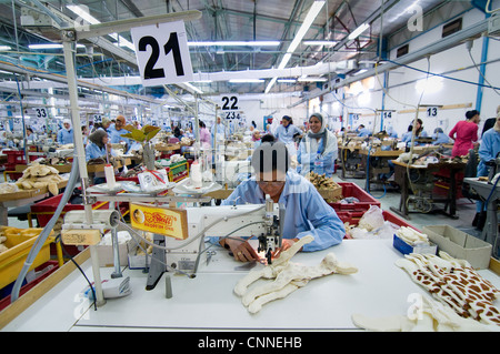 La Tunisie, Sidi Bouzid : 1 000 femmes travaillent dans l'usine de production allemande Steiff jouets pour animaux pour l'Allemagne et d'autres pays Banque D'Images