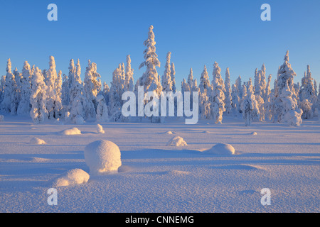 Kuusamo, Ostrobotnie du Nord, Province d'Oulu, Finlande Banque D'Images