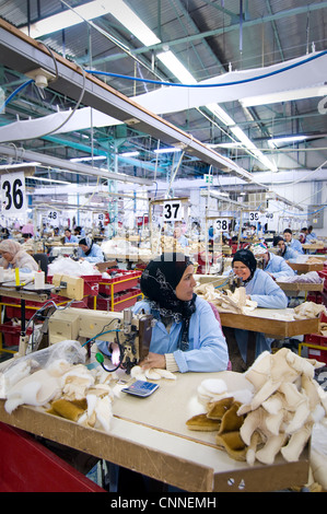 La Tunisie, Sidi Bouzid : 1 000 femmes travaillent dans l'usine de production allemande Steiff jouets pour animaux pour l'Allemagne et d'autres pays Banque D'Images