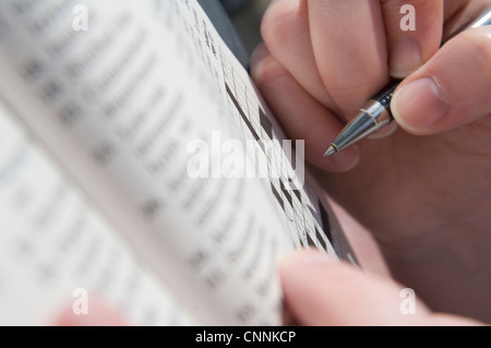 Travailler sur un jeu de mots croisés, de l'Ontario, Canada Banque D'Images