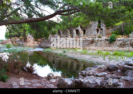 Ruines de la ville d'Olympos. Parc national côtier d'Olympos. La province d'Antalya. La côte méditerranéenne. La Turquie. Banque D'Images