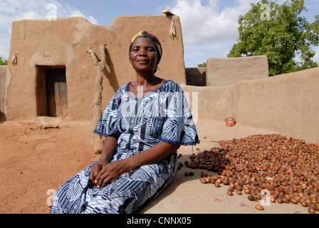 Burkina Faso , village près de Sesuala Pó Kasséna, ethniques, les groupes de femmes ; produire le commerce équitable du karité beurre de karité, le beurre de karité est utilisé comme huile de cuisson ou pour les cosmétiques, les portraits de femme en coton imprimé traditionnel en face de sa hutte d'argile Banque D'Images
