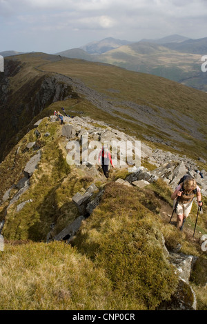 Groupe de randonneurs randonnées le long de la crête de Nantlle Snowdonia au Pays de Galles du Nord Banque D'Images