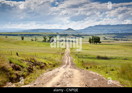 Paysages, contreforts des Drakensberg du Sud, Eastern Cape, Afrique du Sud Banque D'Images