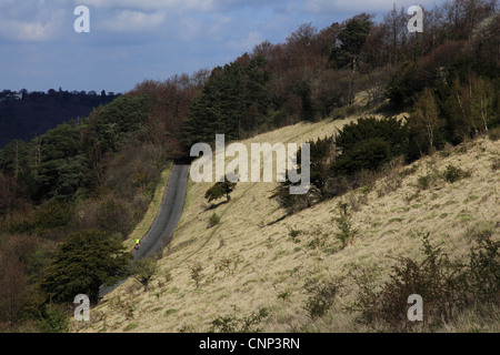 Zig Zag sur la route fort Hill, collines du Surrey, Surrey, Angleterre Banque D'Images