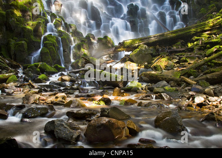 Ramona Falls situé dans la région de Oregon's Mt Hood National Forest Banque D'Images