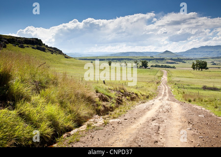 Paysages, contreforts des Drakensberg du Sud, Eastern Cape, Afrique du Sud Banque D'Images