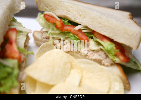 Des sandwichs au thon close up Banque D'Images