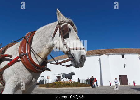 Ronda, Province de Malaga, Espagne. Arènes de Ronda avec cheval chariot derrière et Monument aux combats Bull Banque D'Images