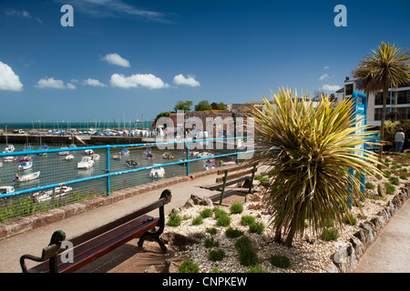 Royaume-uni, Angleterre, Devon, Torquay, port sub-tropicales de l'ensemencement en petit jardin d'harbourside Banque D'Images