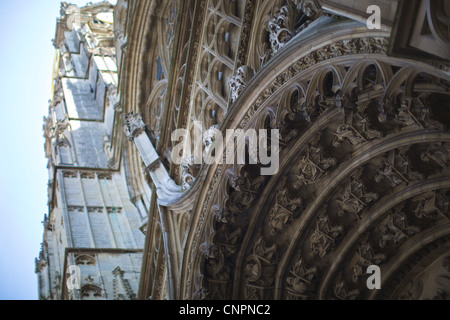 [Cathédrale de Notre-Dame] cathédrale [immeuble pierre] Banque D'Images