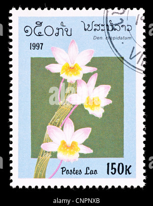 Timbre-poste du Laos représentant une chaussure-lipped Dendrobium Dendrobium crepidatum (Orchidée) Banque D'Images