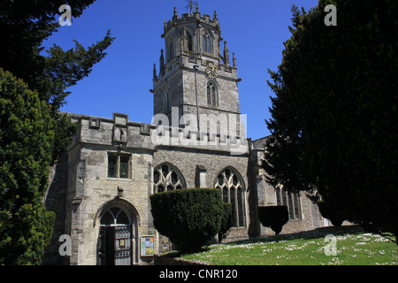 L'église St Andrews, Colyton, Devon. Banque D'Images