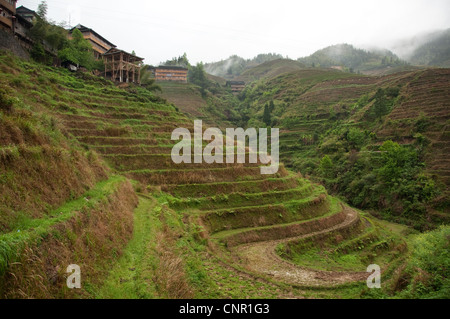 Da Zhai village parmi les nuages et les rizières en terrasses Banque D'Images