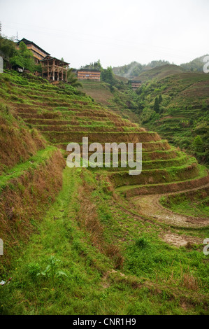 Da Zhai village parmi les nuages et les rizières en terrasses Banque D'Images