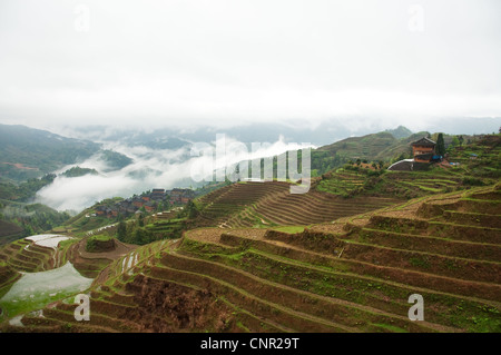 Da Zhai village parmi les nuages et les rizières en terrasses arrosées Banque D'Images