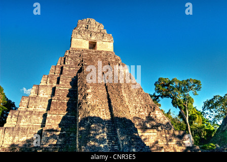 Le Temple de Tikal I. Banque D'Images