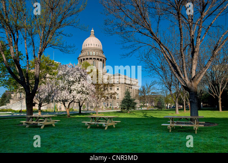 Sur la pelouse en face de la capitale de l'état de l'Idaho sont des tables de pique-nique Banque D'Images