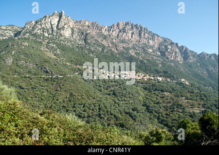 Vue sur le village de montagne Corse d'Ota et la forêt de chênes environnants, sur la côte ouest de l'île de Corse, en France. Banque D'Images