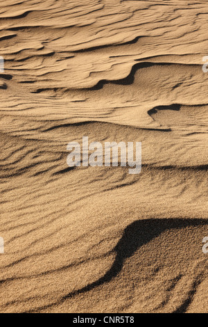 Rides de sable, désert de Mojave, Californie, USA Banque D'Images