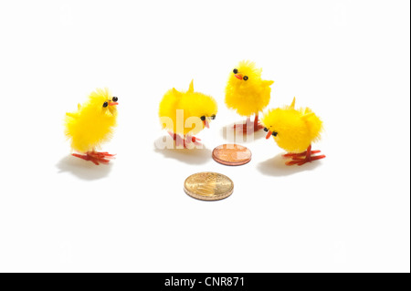 Poussin de Pâques à quatre décorations à des pièces en euros Banque D'Images
