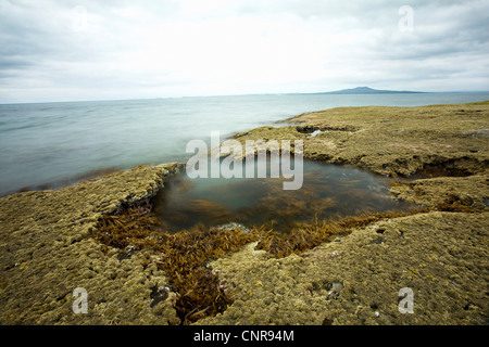 Piscine d'eau on Rocky beach Banque D'Images