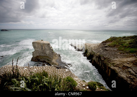 S'avançant dans les roches escarpées, ocean Banque D'Images