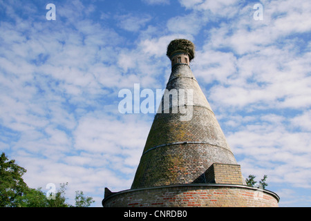 Nid de cigognes sur le vieux four en briques, l'Allemagne, Brandebourg Banque D'Images