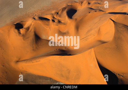 Star dune dans le désert du Namib, Namibie Sossusvlei Banque D'Images