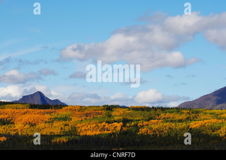 Paysage de l'Alaska en autummn, USA, Alaska Banque D'Images