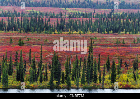 Paysage de l'Alaska en autummn, USA, Alaska Banque D'Images