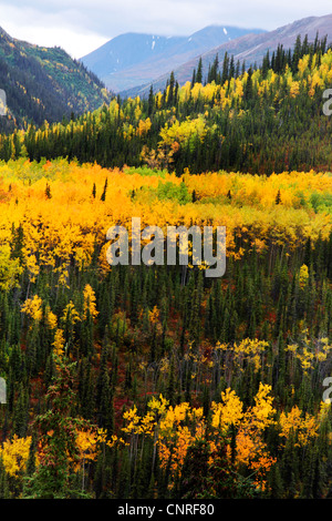 Paysage de l'Alaska en autummn, USA, Alaska Banque D'Images