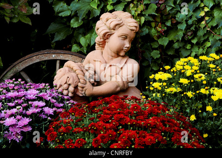 Costmary, Aster, chrysanthème, Chinois, Jardin Maman Maman (Dendranthema x grandiflorum, Dendranthema grandiflorum, Dendranthema indica, Chrysanthemum Chrysanthemum indicum, grandiflorum, Chrysanthemum x grandiflorum), jardin sculpture avec jardin Mums Banque D'Images