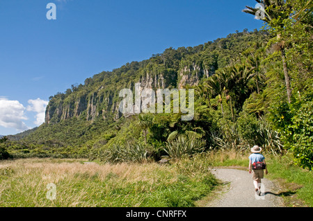 Bush impressionnant paysage à pied le long de la rivière dans Pororari Paparoa National Park, New Zealand Banque D'Images