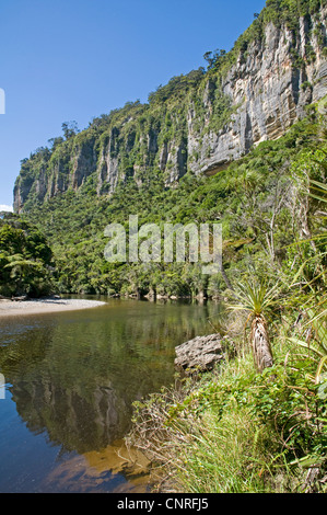 Bush impressionnant paysage à pied le long de la rivière dans Pororari Paparoa National Park, New Zealand Banque D'Images