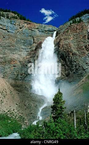 Les chutes Takakkaw, Canada, Parc national Yoho Banque D'Images