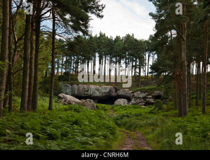 St Cuthberts Cave (Cuddy's Cave) Northumberland Banque D'Images