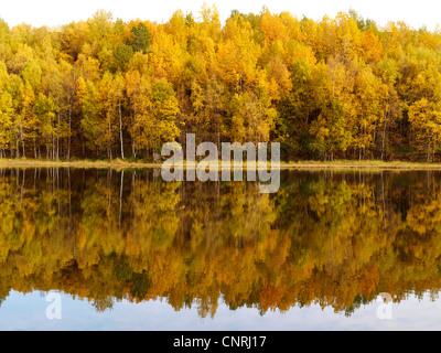 Paysage avec le lac en automne près d'Anchorage, Anchorage, Alaska, USA Banque D'Images