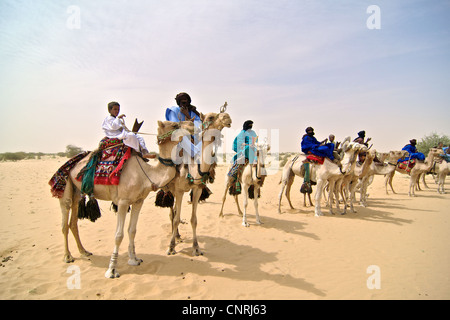 Les hommes touareg chameaux dans la région de Tombouctou, au Mali. Banque D'Images