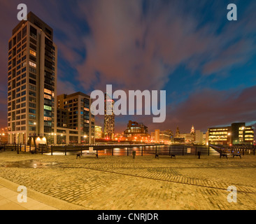 Princes Dock, avec Royal Liver Building en arrière-plan, Liverpool UK Banque D'Images